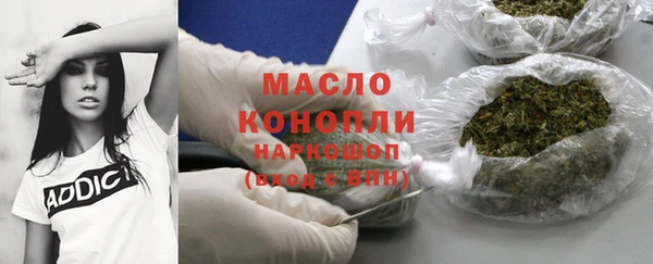 дмт Заводоуковск