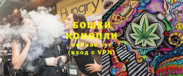 молекула духа Заволжье