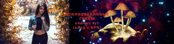 стафф Ельня
