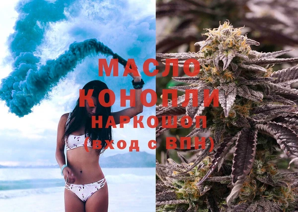 дмт Заводоуковск