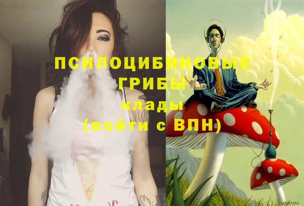 молекула духа Заволжье