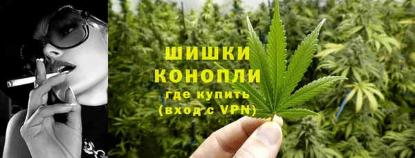дмт Заводоуковск