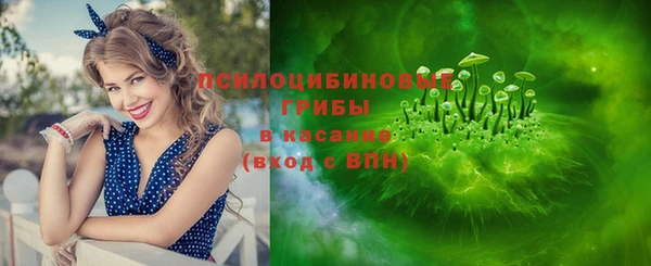 молекула духа Заволжье