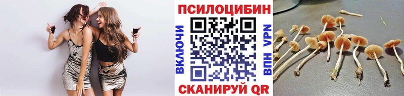 Псилоцибиновые грибы GOLDEN TEACHER Лабытнанги