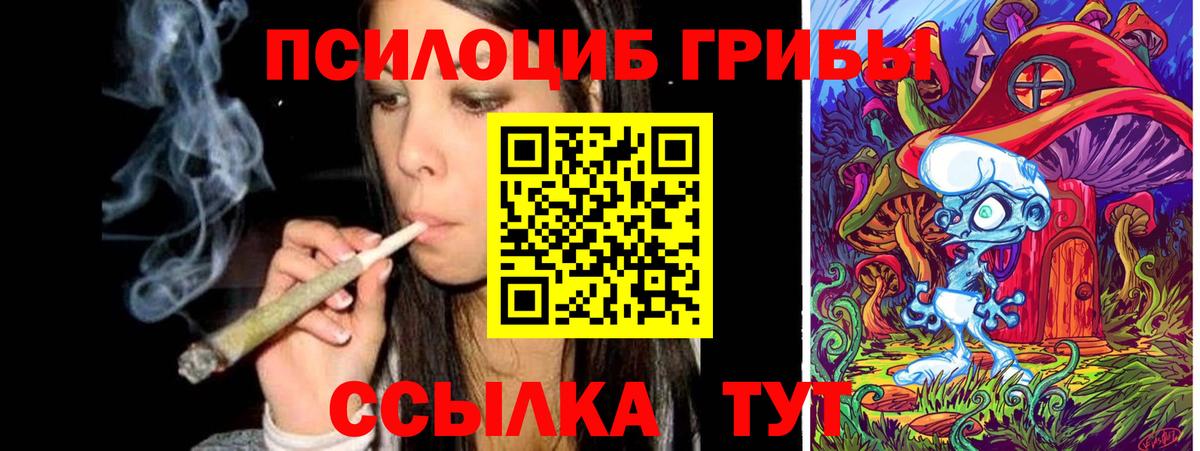 Галлюциногенные грибы мухоморы Лабытнанги