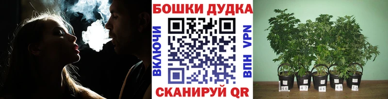 купить   Лабытнанги  Бошки марихуана индика 